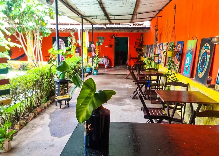 Pet friendly Proxima Estacion Hostel Maceio 