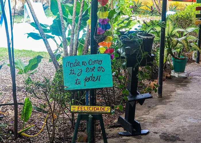 Pet friendly Proxima Estacion Hostel Maceio 